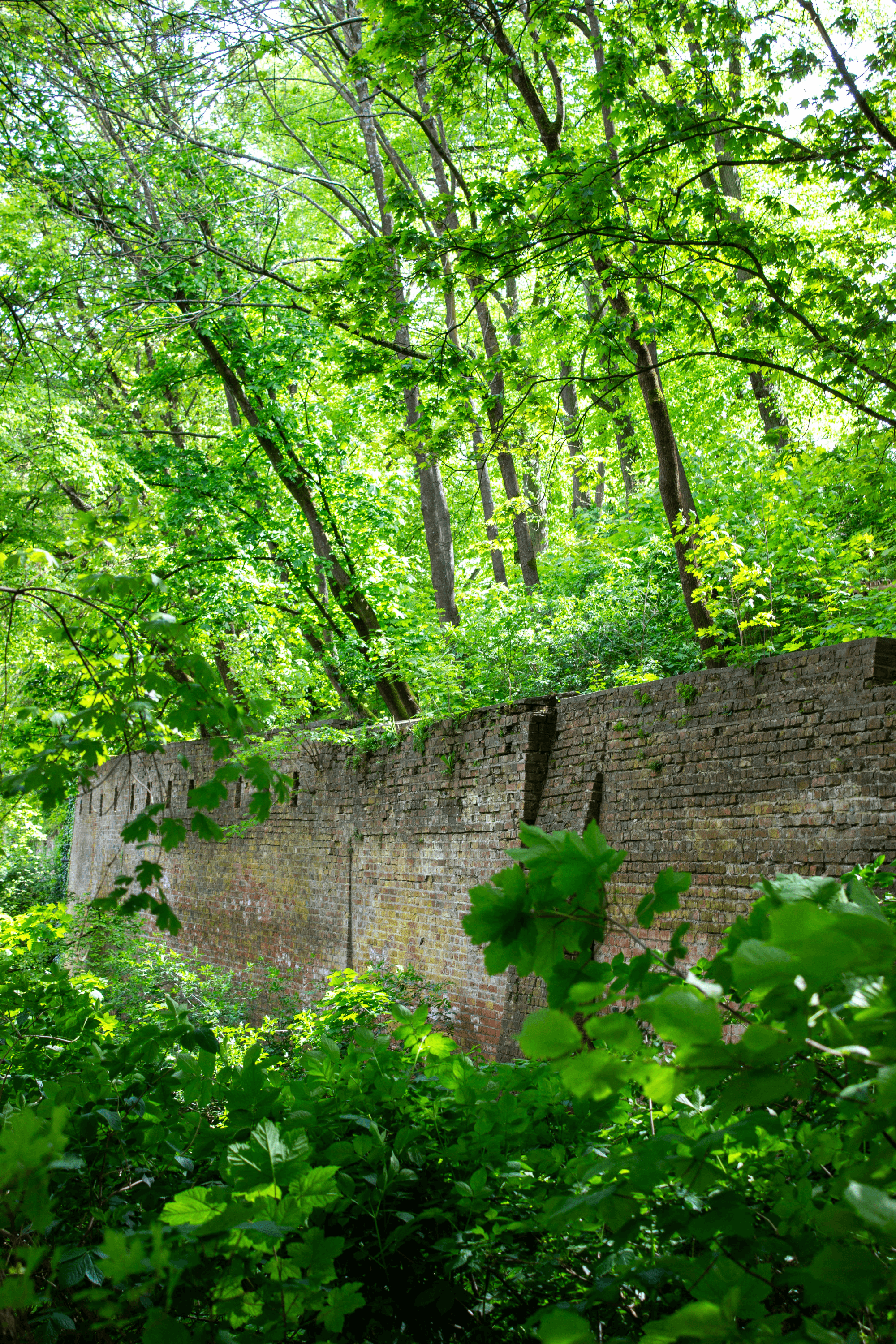 Früher umgab die Stadtmauer ganz Lüneburg