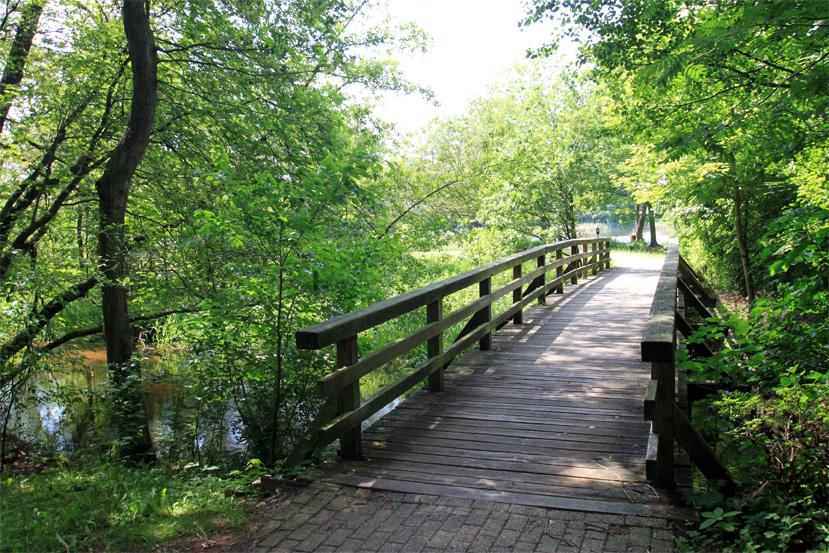 Brücke zum Heidesee