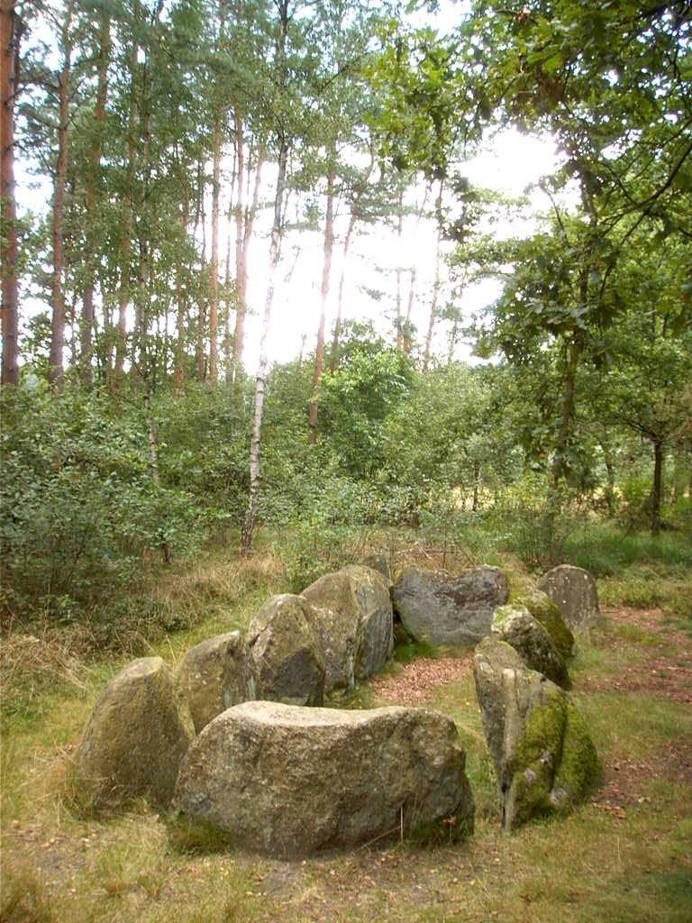 Megalith Großsteingrab in Krelingen