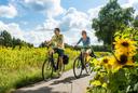 Radfahren im Naturpark Südheide