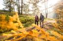 Herbstliche Wanderung im Tiefental bei Hermannsburg