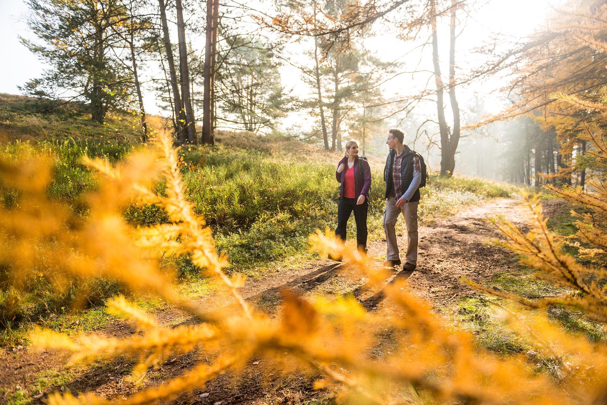 Herbstliche Wanderung im Tiefental bei Hermannsburg