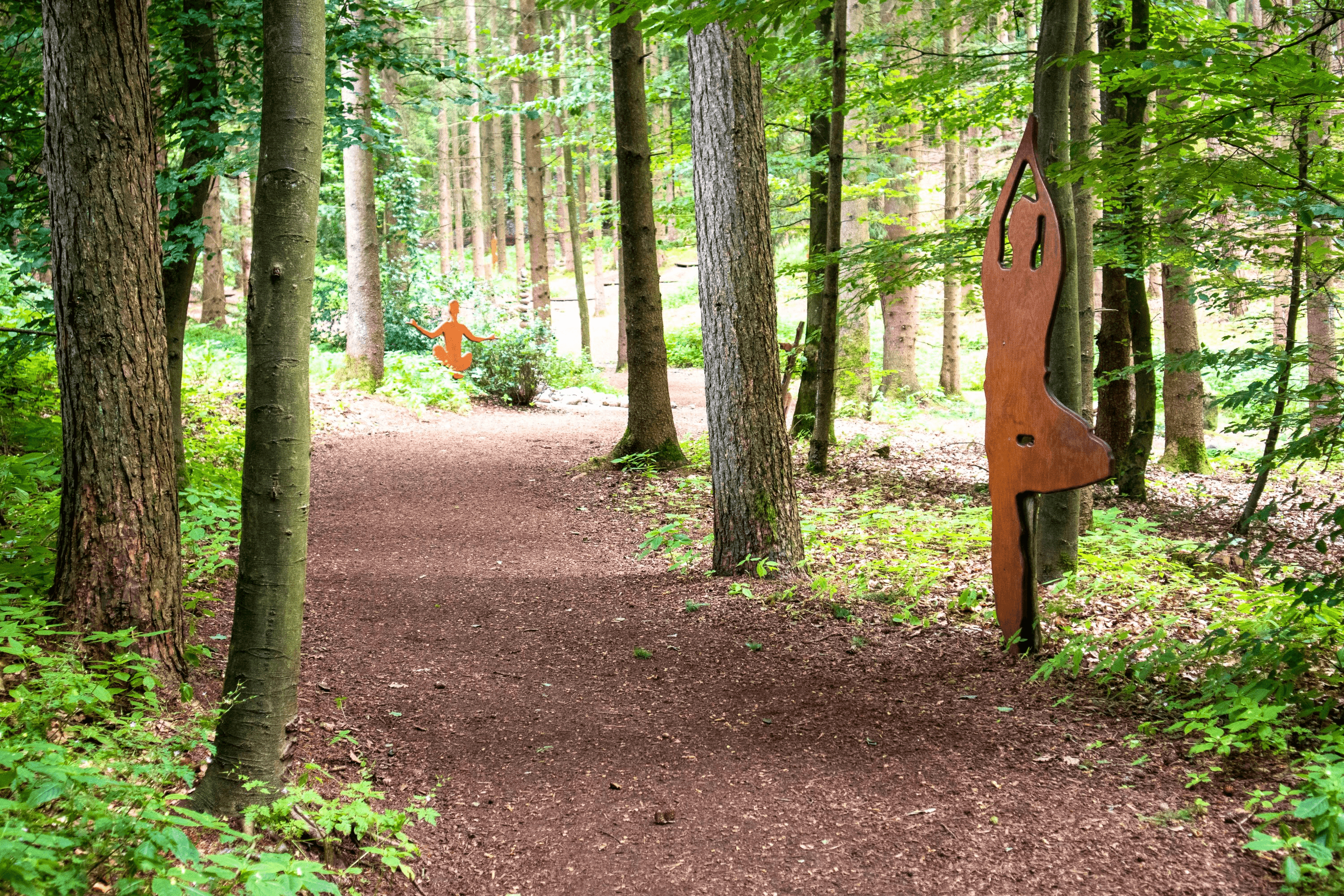 Yoga Wald im Barfußpark 