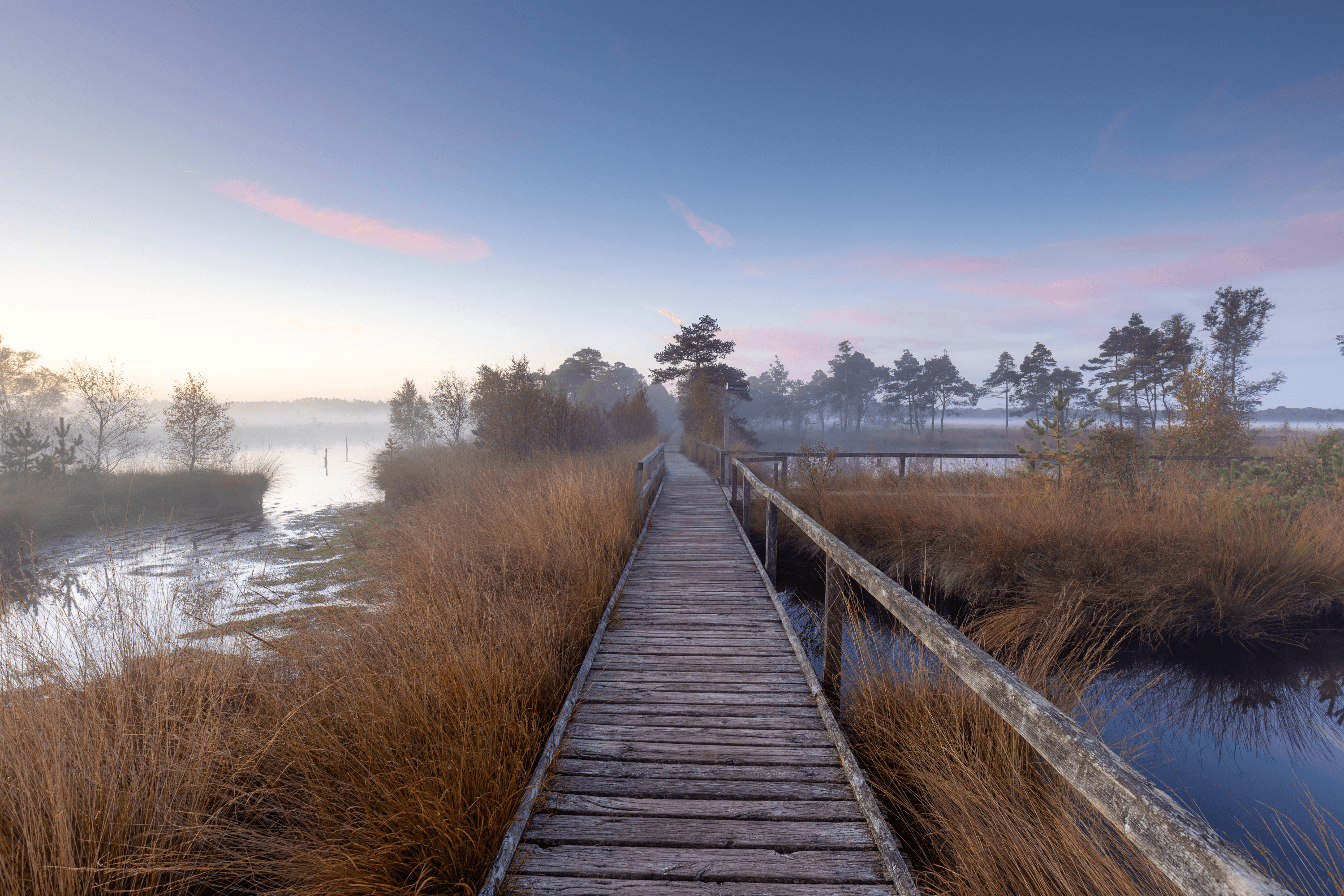 Herbstmorgen im Pietzmoor