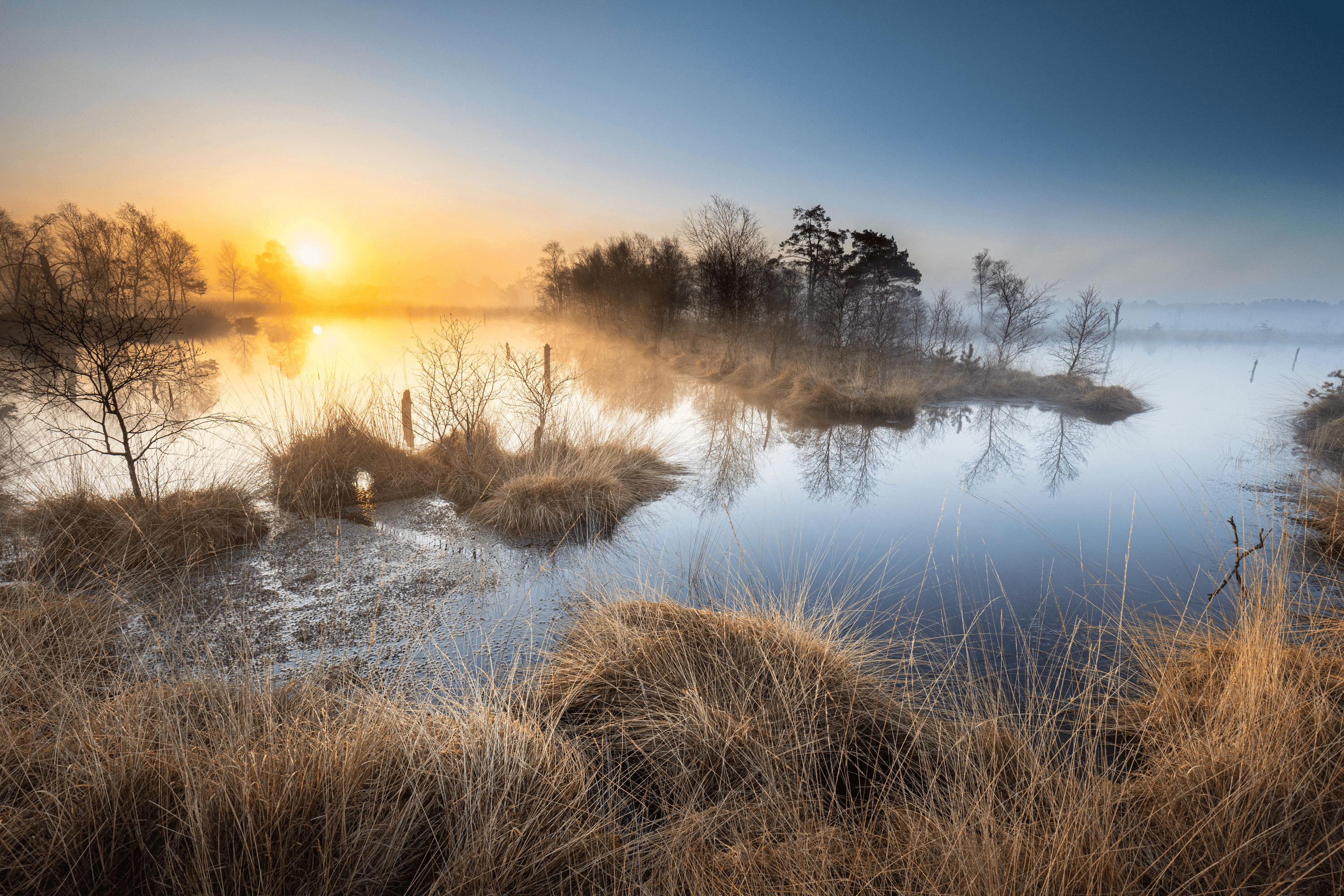 herbstlicher Sonnenaufgang im Pietzmoor