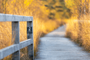 Herbstfarben im Pietzmoor