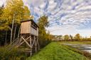 Aschauteiche in Eschede im Herbst