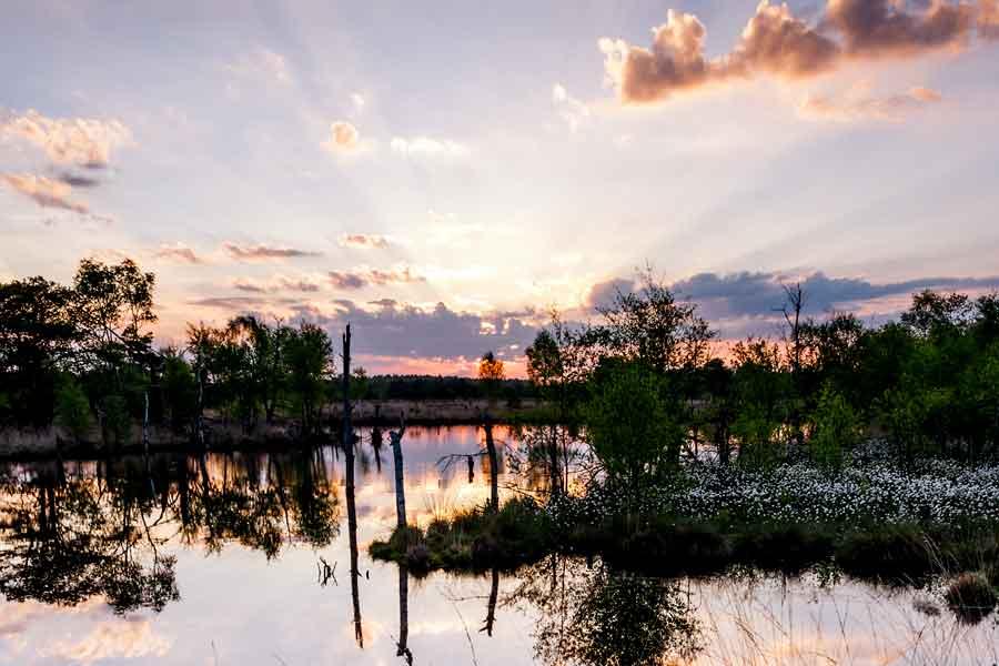 Fantastischer Sonnenaufgang im Pietzmoor