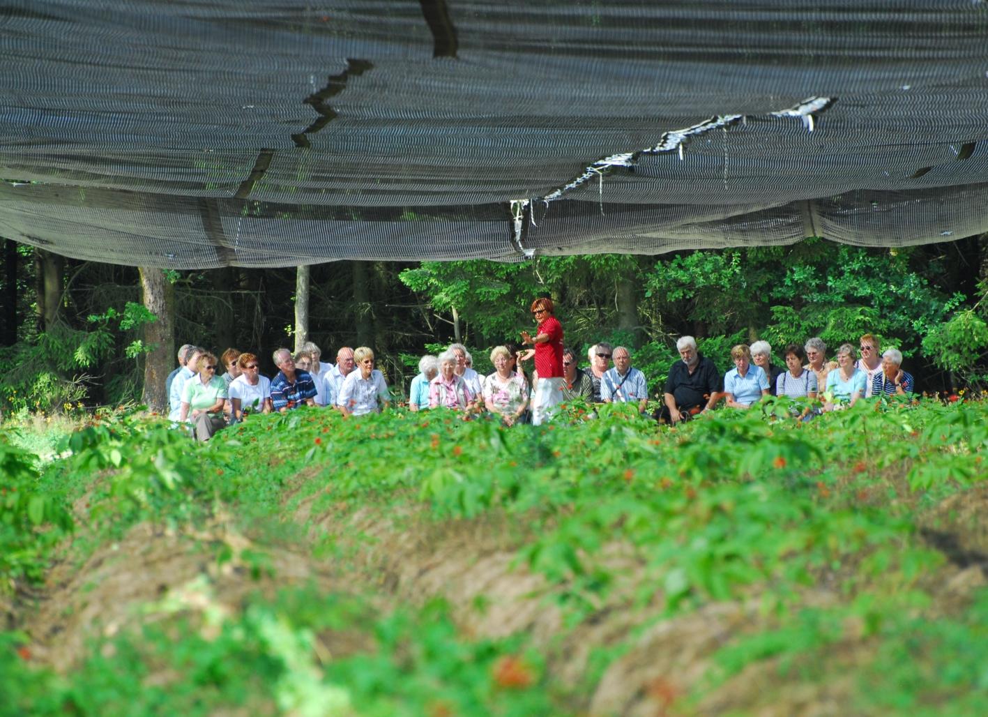 Gruppenführung zu den Ginseng-Gärten der FloraFarm