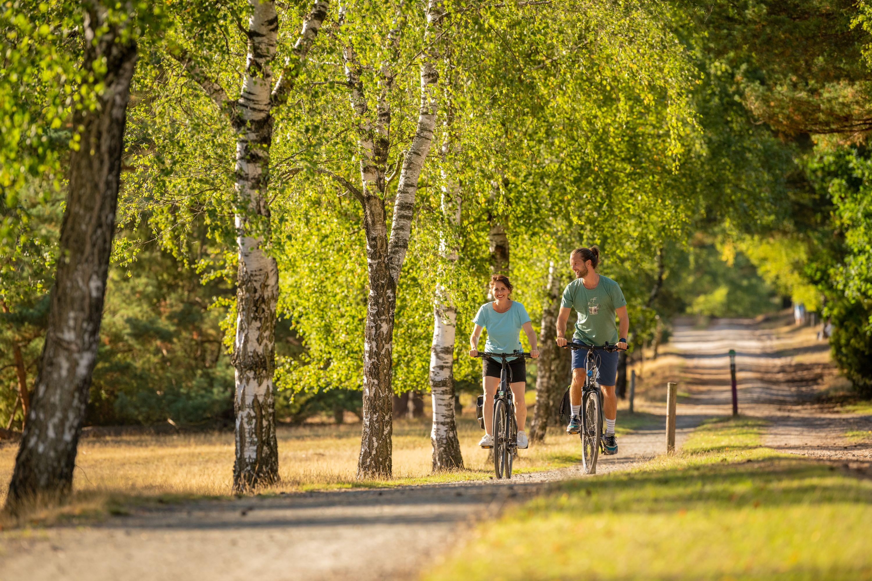 Fahrradfahren in der Misselhorner Heide