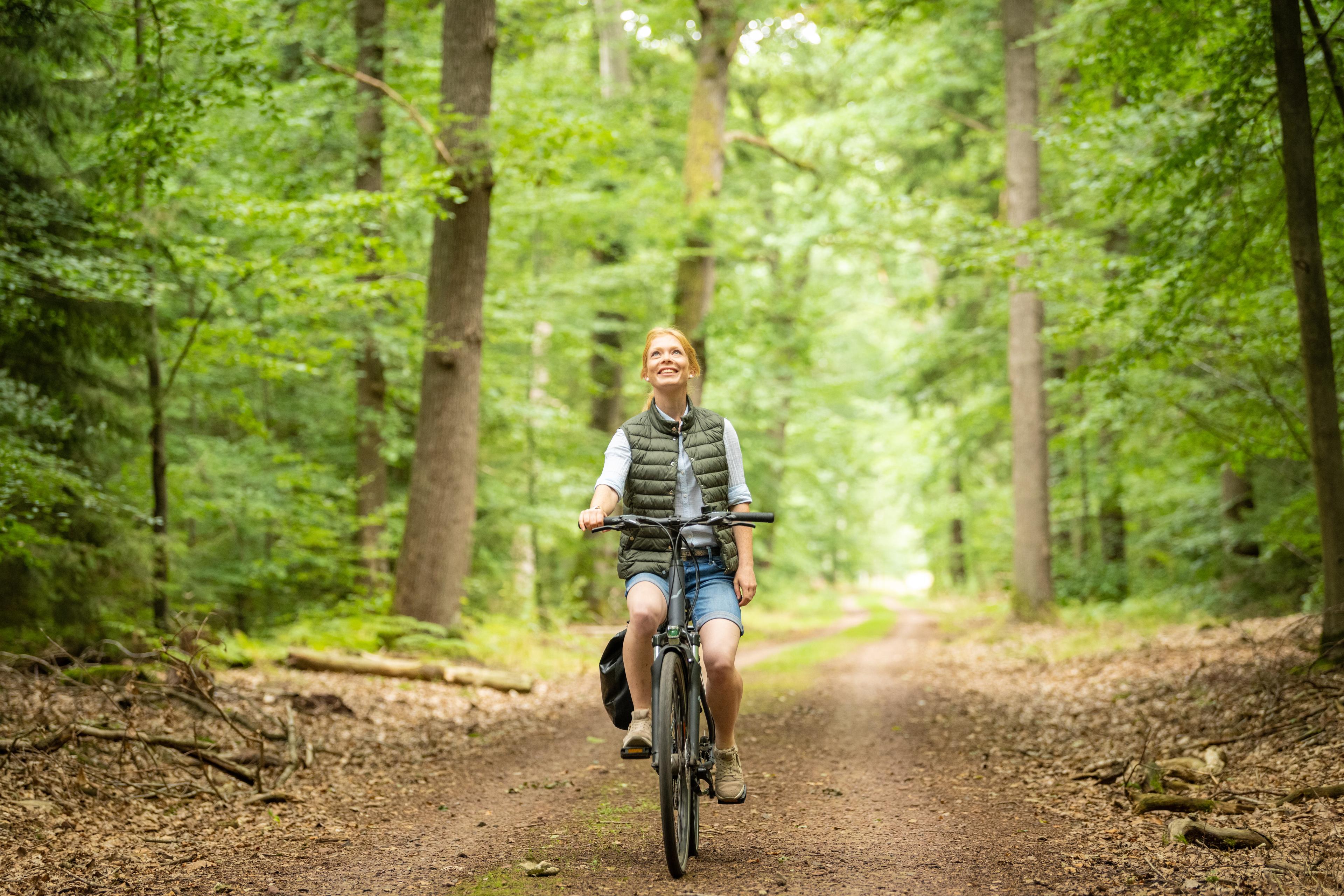 Wald-und-Heide-Pfad-Finder-Tour Geführte nachhaltige Radtour