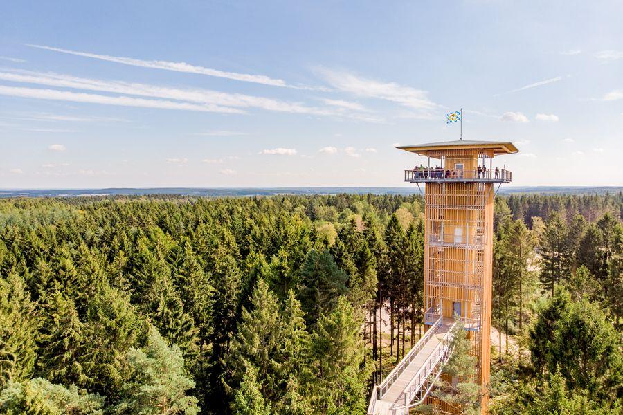 Heide Himmel - The highest treetop path in Northern Germany