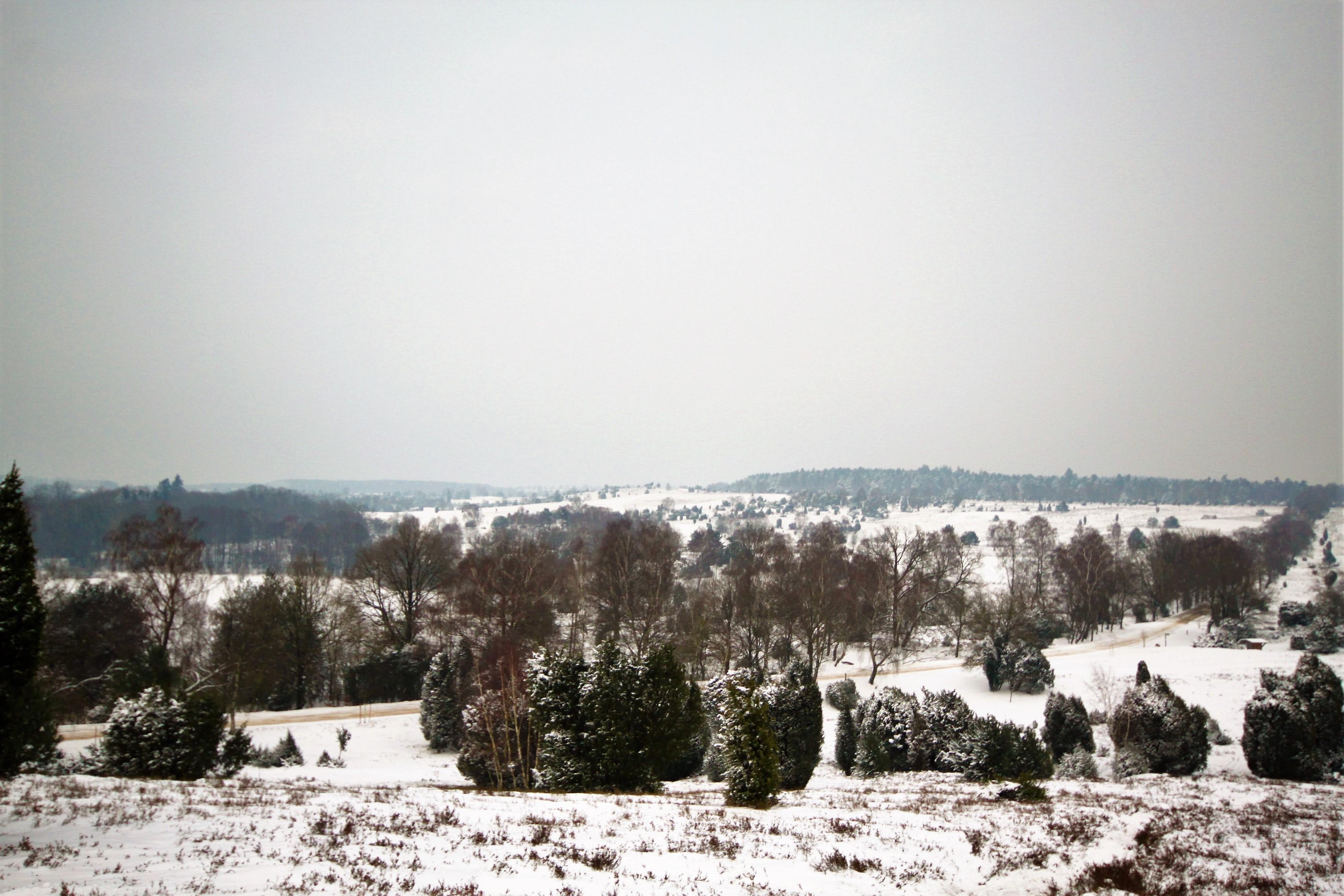 Winterliche Aussicht Ferienwohnungen Hof Bockelmann