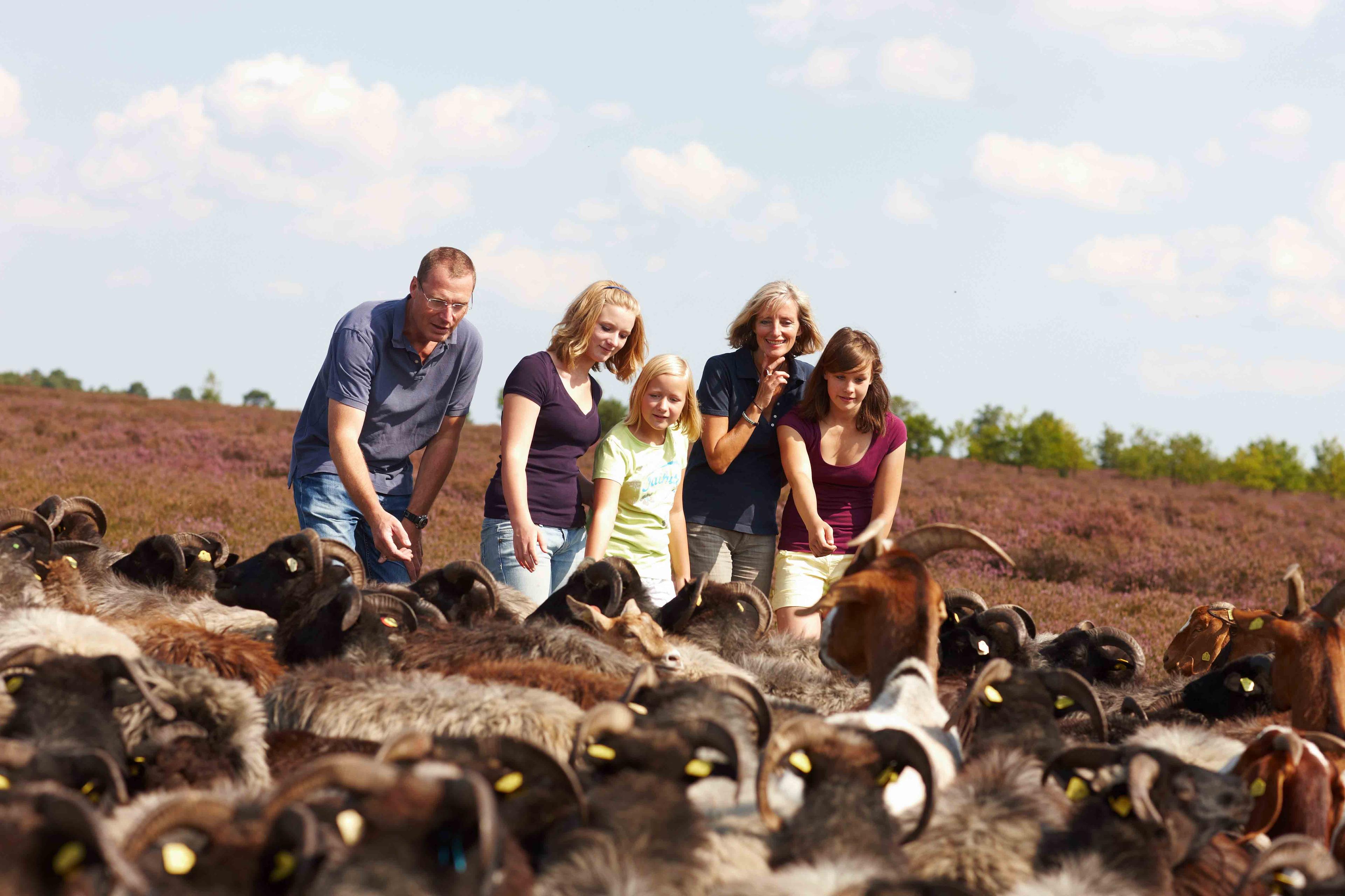 Trips in the North Heath - Tips for your holiday in the Heath