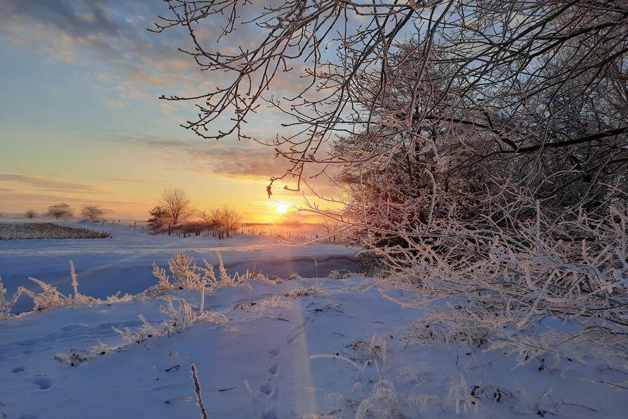 Winterlicher Sonnenaufgang bei Wietze