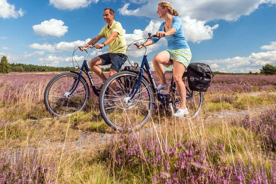 Multi-day cycle tours in Lueneburg Heath