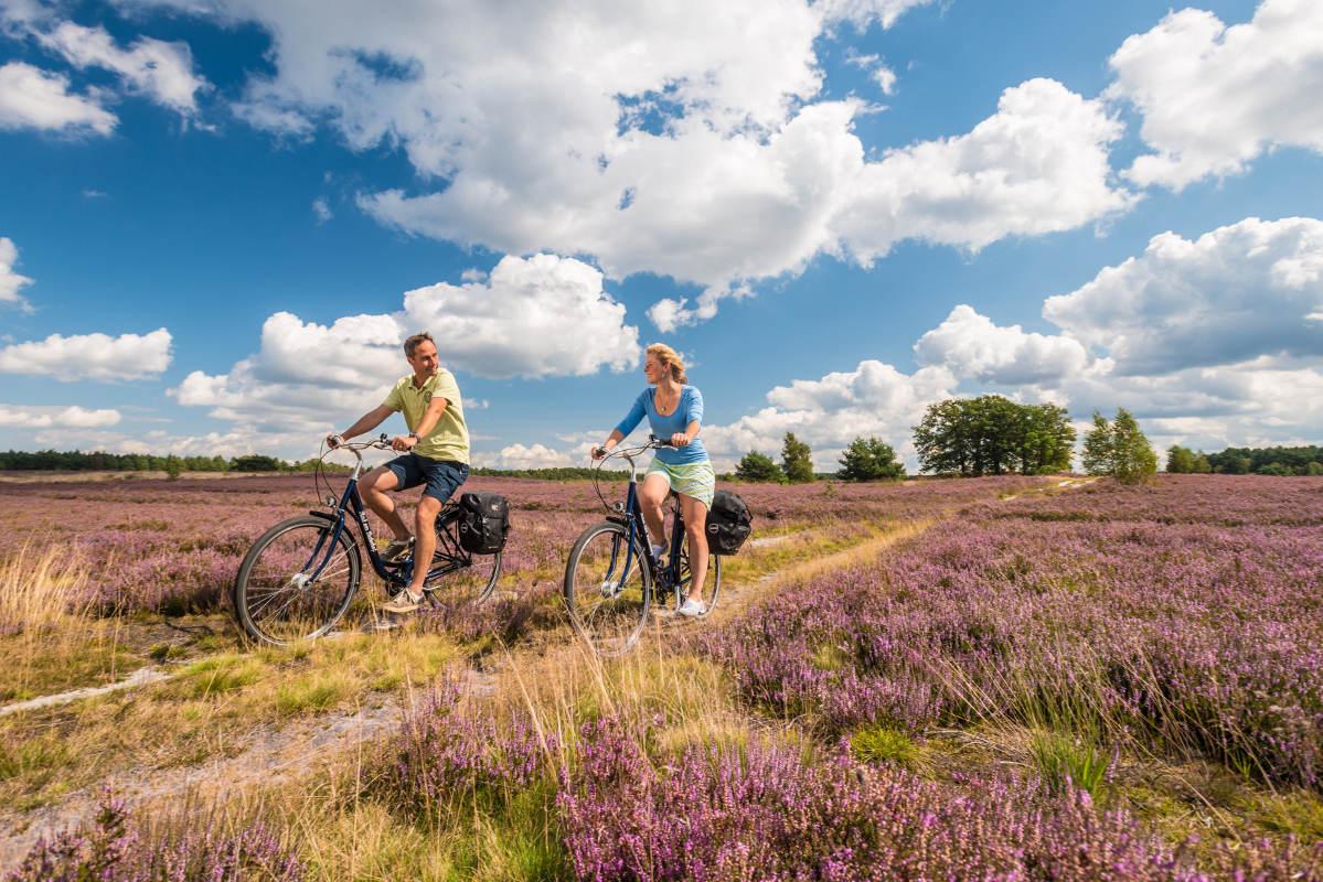 The 24 most beautiful cycling tours in the North Heath