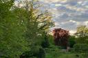 Beeindruckender Himmel über dem Klosterpark